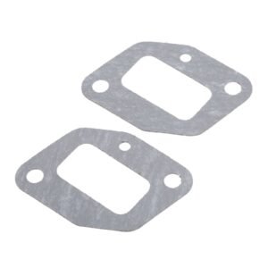 Fuel intake manifold gasket